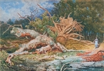 Original title:  Daniel Fowler - Fallen Birch (1886), watercolour on wove paper