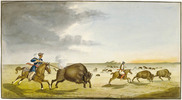 Original title:  Metis hunting buffalo in the Summer 1822 by Peter Rindisbacher, (1806-1834).

Français : Chasse au bison par les Metis durant l'été 1822 par Peter Rindisbacher (1806-1834).