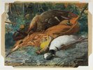 Original title:  Daniel Fowler - Dead Canadian Game - 1879. Held by the National Gallery of Canada. 
Credit line: Royal Canadian Academy of Arts diploma work, deposited by the artist, Amherst Island, Ontario, 1880.