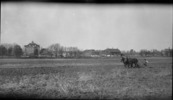 Titre original&nbsp;:  Mohawk Institute farm in Brantford, [Ont.]. Library and Archives Canada. Date: 14 Nov., 1917. Item ID Number: 3309629. 