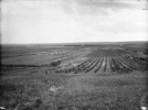 Original title:  General view of Experimental Farm [Brandon, Manitoba]. 