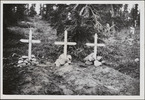 Original title:  Graves of John Hornby, Edgar Vernon Christian and Harold Adlard. 