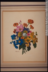 Titre original&nbsp;:  Painting Flower Study Guiseppe Fassio 1834-1851, 19th century 7.7 x 6.3 cm M24629.8 © McCord Museum Keywords:  Painting (2229) , painting (2226)