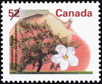 Original title: Several species of apple, including the Gravenstein (left), were developed by Charles Ramage Prescott, who lived at Starrs Point, near Wolfville, Nova Scotia. Prescott's home is now part of the Nova Scotia Museum.