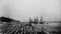Original title:  Booth's raft of pine timber, Sharples and Dobell's Coves. 