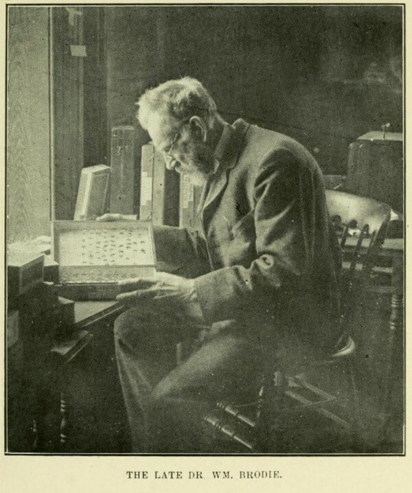 Titre original&nbsp;:  William Brodie. From: Annual Report of the Entomological Society of Ontario, 1872. Source: https://archive.org/details/annualreport190911ento/page/131/mode/1up 