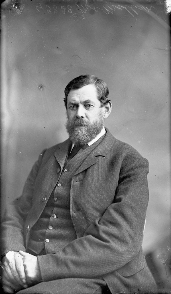 Titre original :  McMillan, John Mr. (M. P.) 