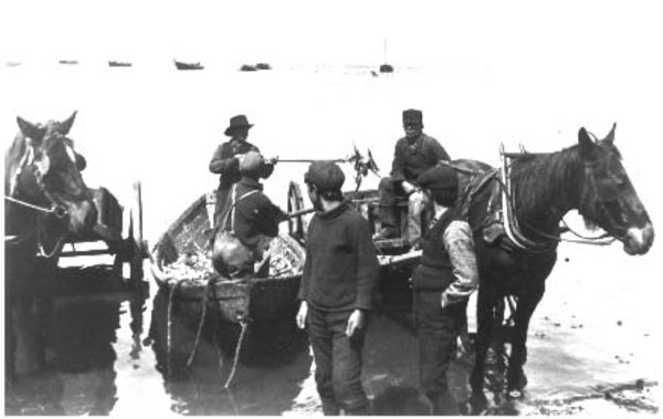 Titre original&nbsp;:  Scène de pêche dans la Péninsule acadienne au début du 20e siècle. Collection des Archives provinciales du Nouveau-Brunswick.